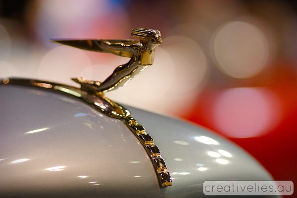 Car Show and Kostya Tszyu